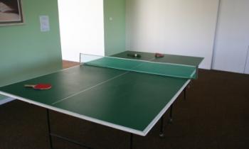 Table Tennis